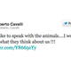Illustration for article titled Roberto Cavalli Is Making Out with a Monkey
